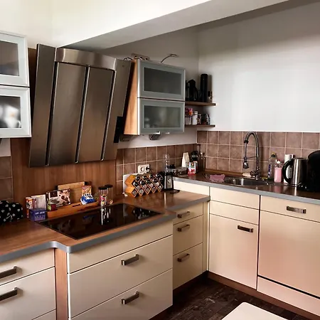 Apartament Idyllisches Haus In Direkt An Der Saale